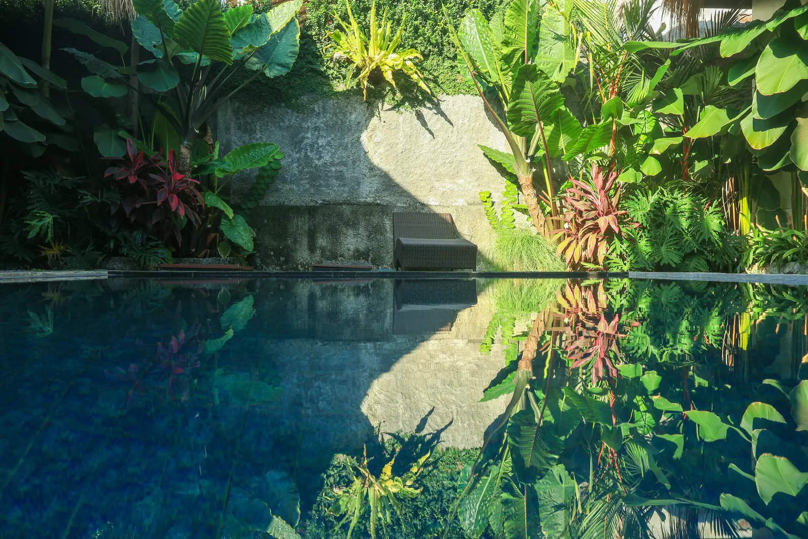 Private pool reflecting tropical foliage
