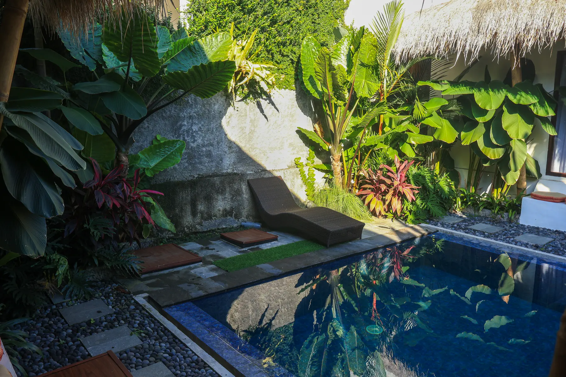 Private pool surrounded by compact tropical planting